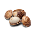 Clams (5 lbs)