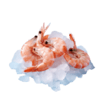 Shrimp (lb)