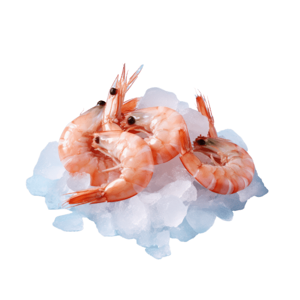 Shrimp (lb)