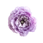 Lisianthus (bunch)
