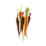 Rainbow Carrots (bunch)