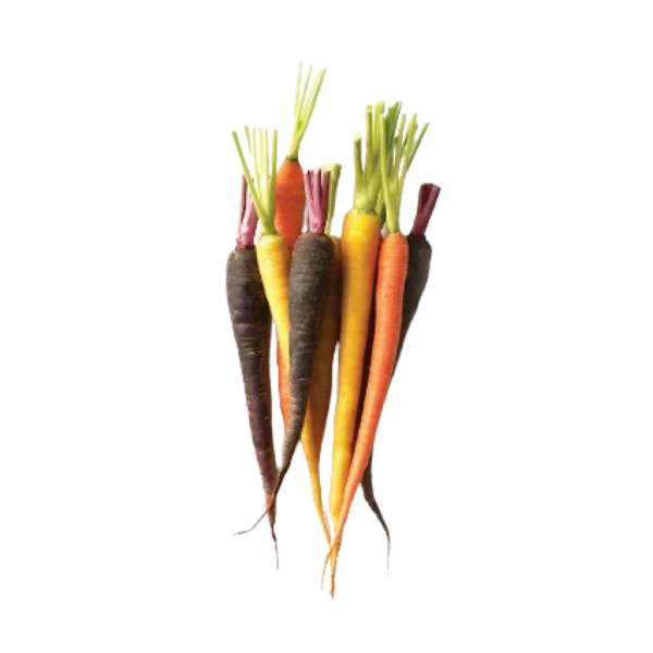 Rainbow Carrots (bunch)
