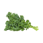 Kale (bunch)