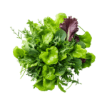 Salad Mix (bag)
