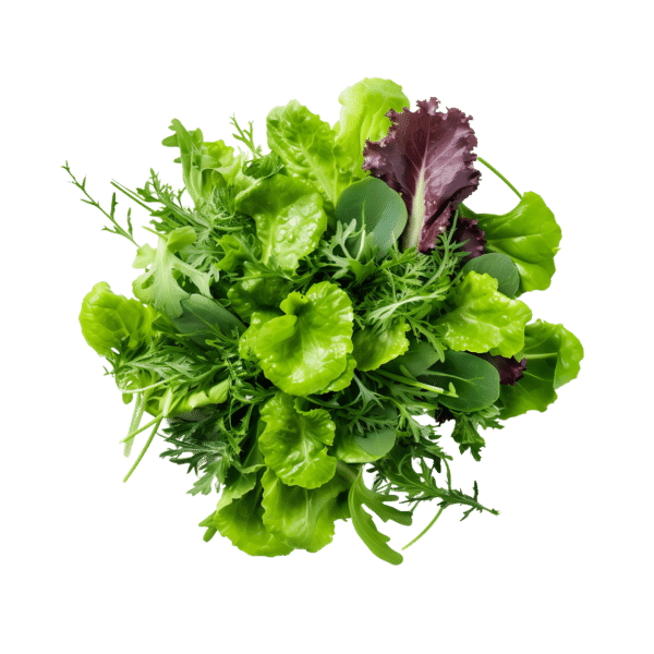 Salad Mix (bag)