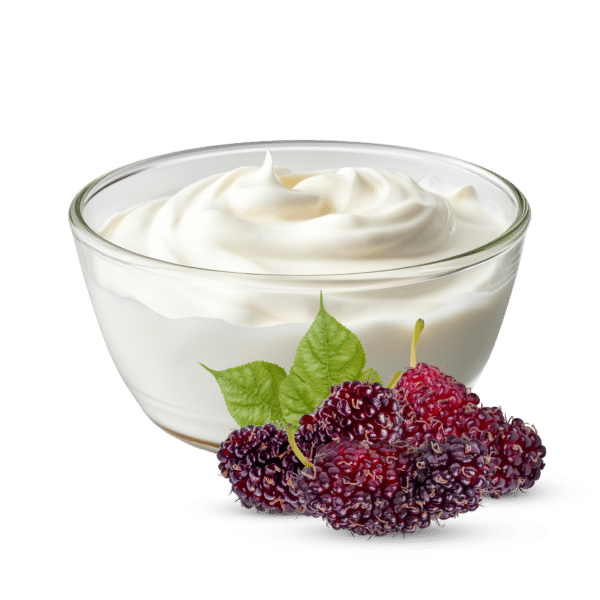Dark Mulberry Yogurt