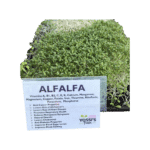 Alfalfa Sprouts (oz)