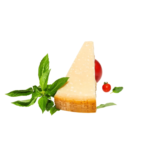 Parmigiano Reggiano Aged