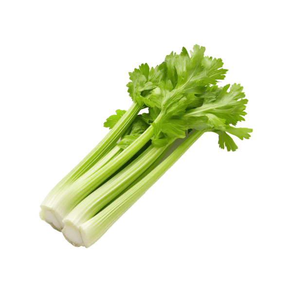 Celery (bunch)