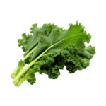 Lacinto Kale (lb)