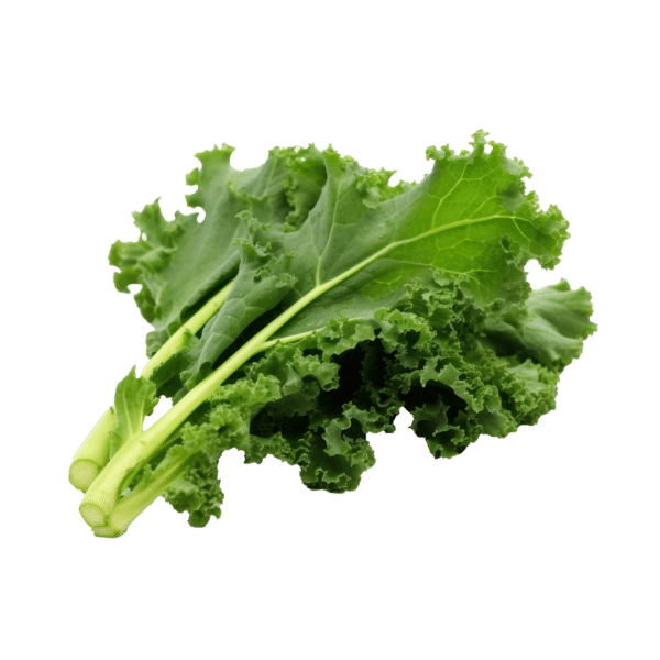 Lacinto Kale (lb)