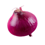 Purple Onion (lb)