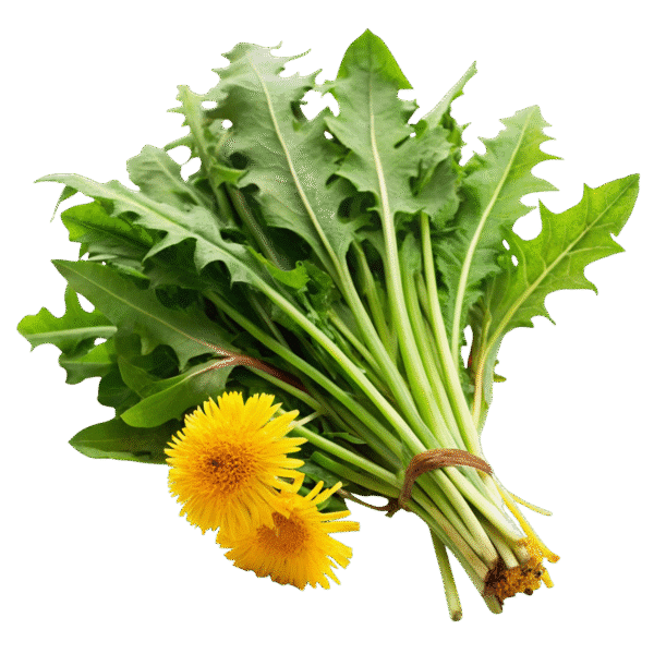 Dandelion Greens (green - lb)