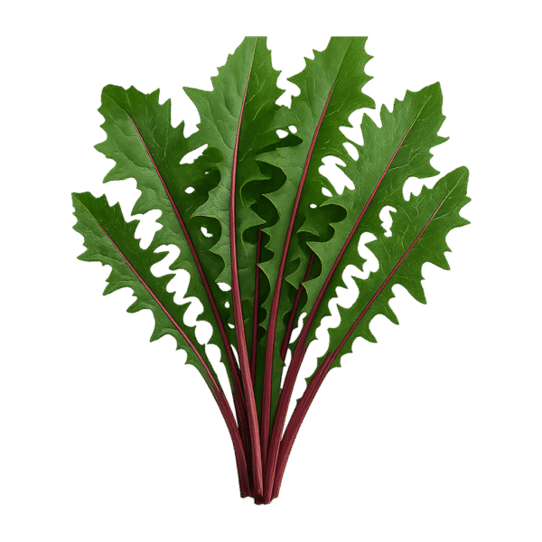 Dandelion Greens (red - lb)