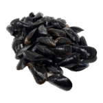 Live Black Mussels (lb)