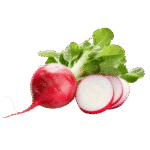 Radish