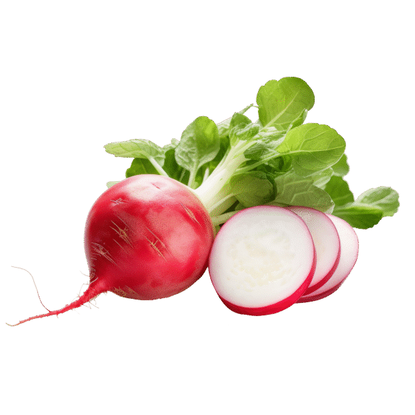 Radish