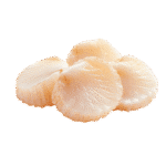 Scallops (lb)
