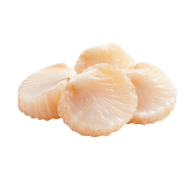 Scallops (lb)
